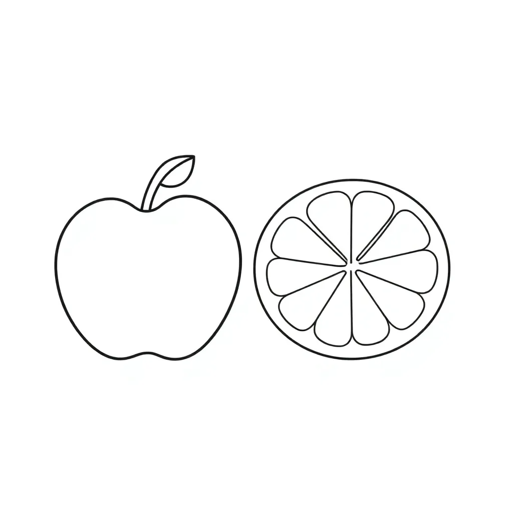 Fraction circles and parts illustration