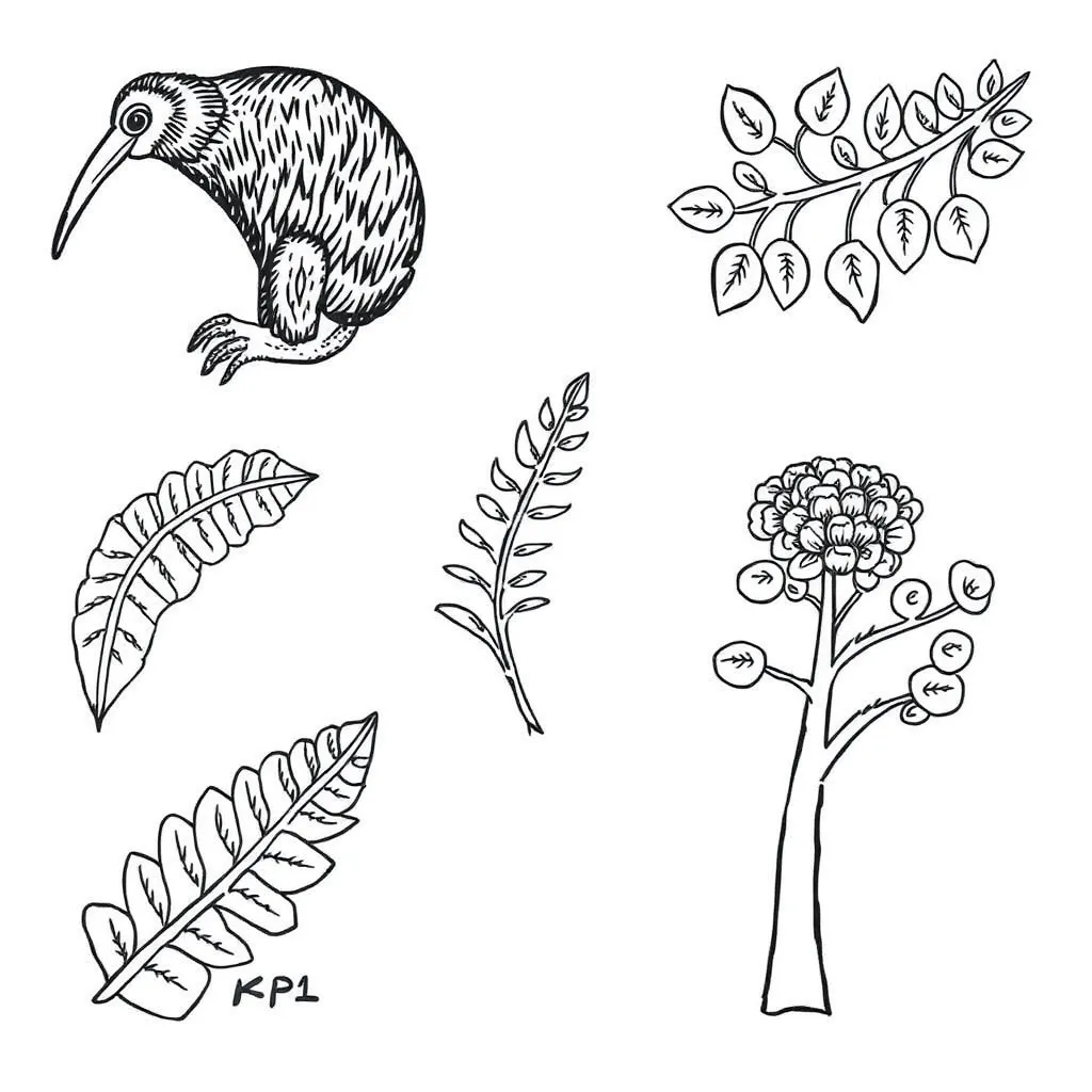 Natural patterns including leaves, flowers, and shells