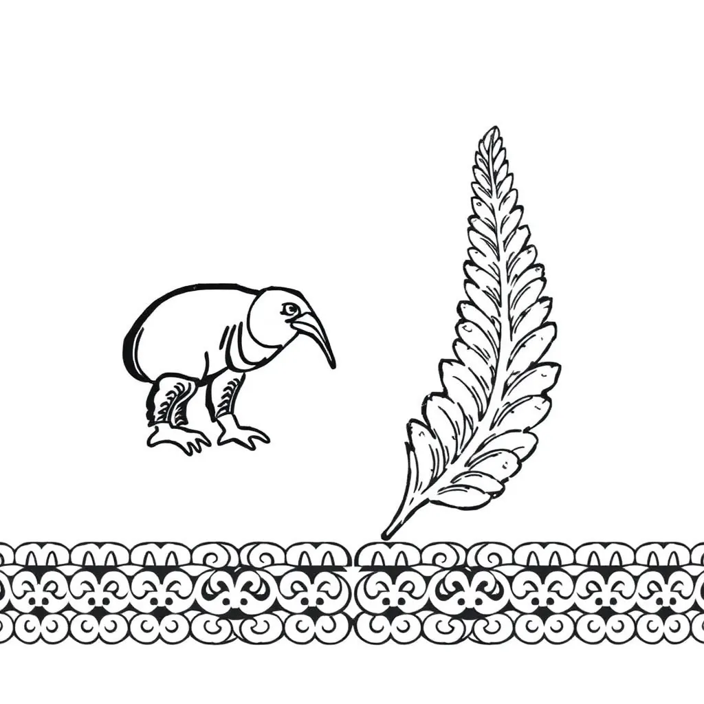 New Zealand coins and notes illustration