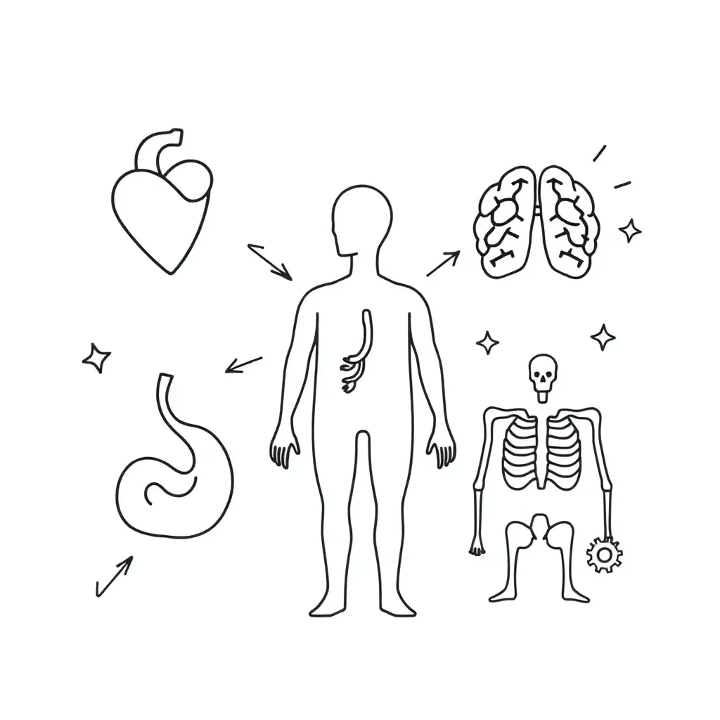 Human body systems illustration