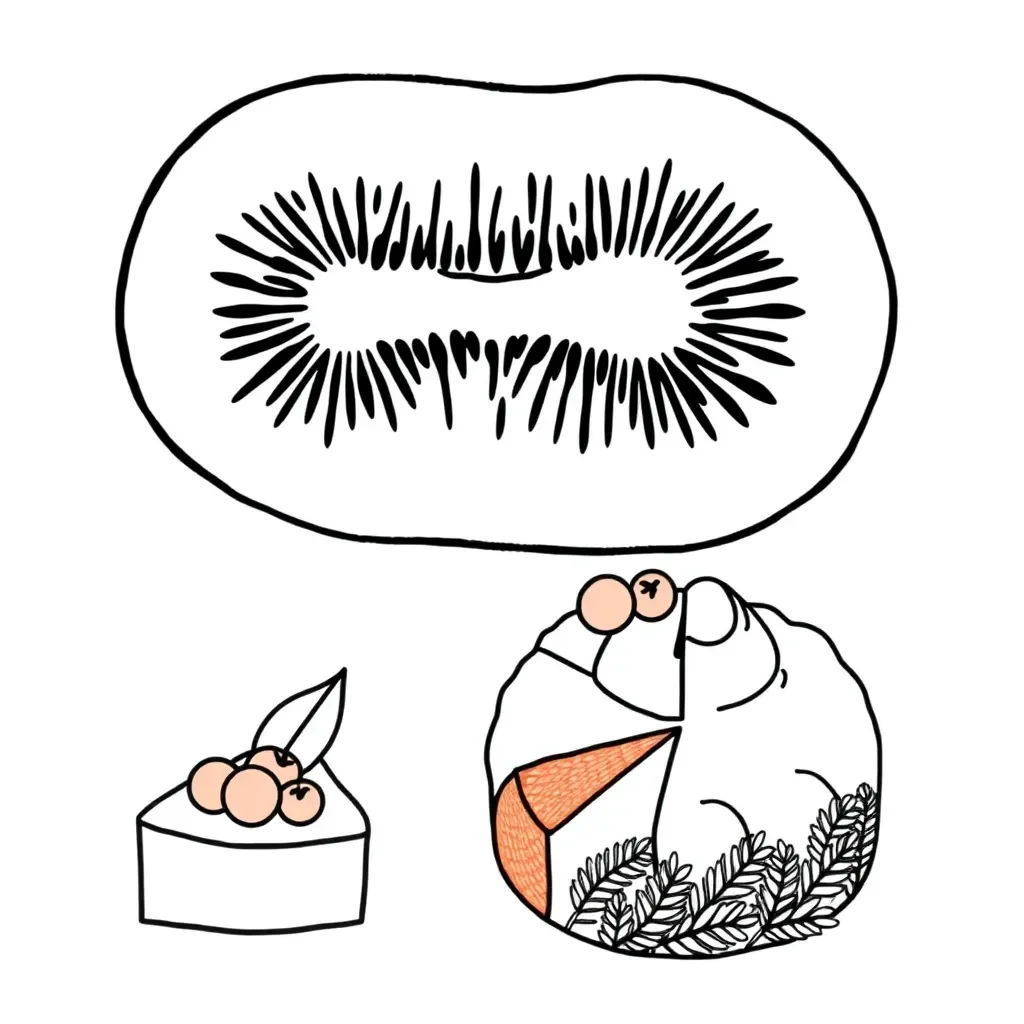 Fraction strips and circles illustration