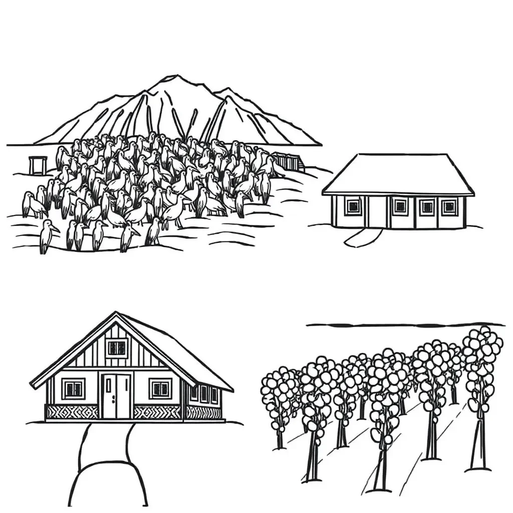 Hawkes Bay landscape illustration