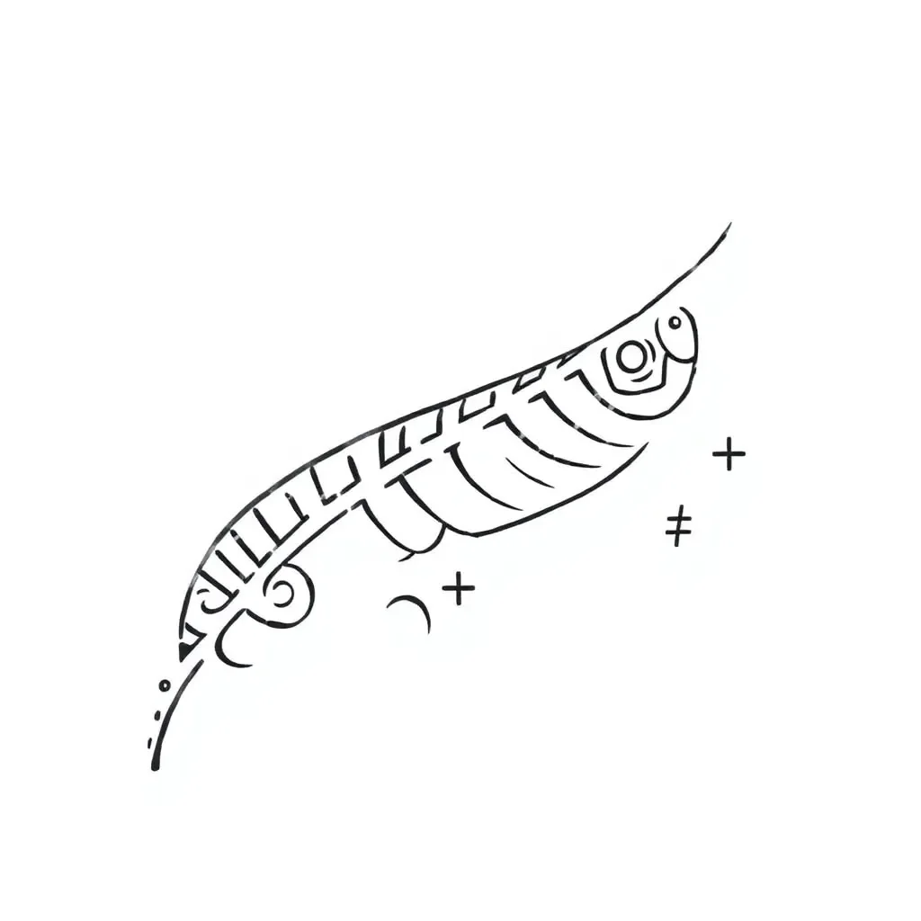 Worksheet illustration
