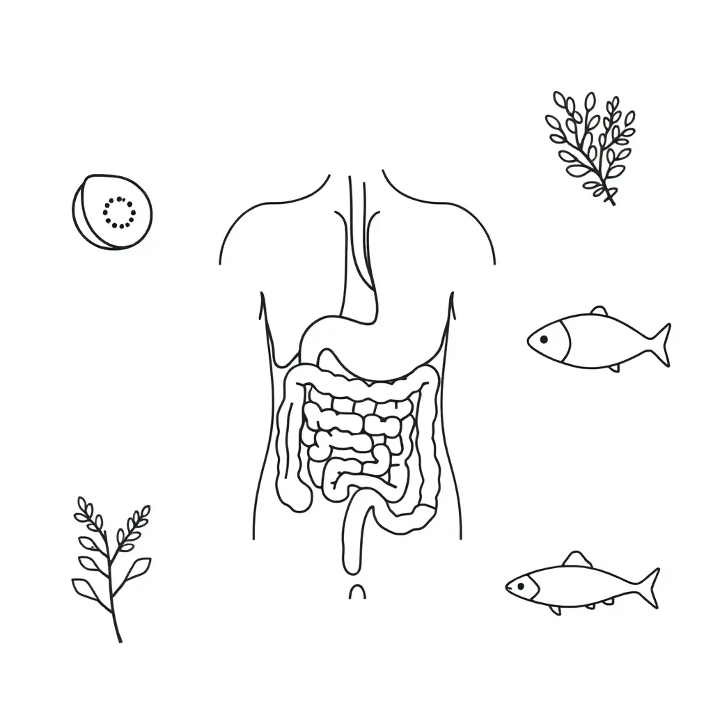 Human body systems diagram
