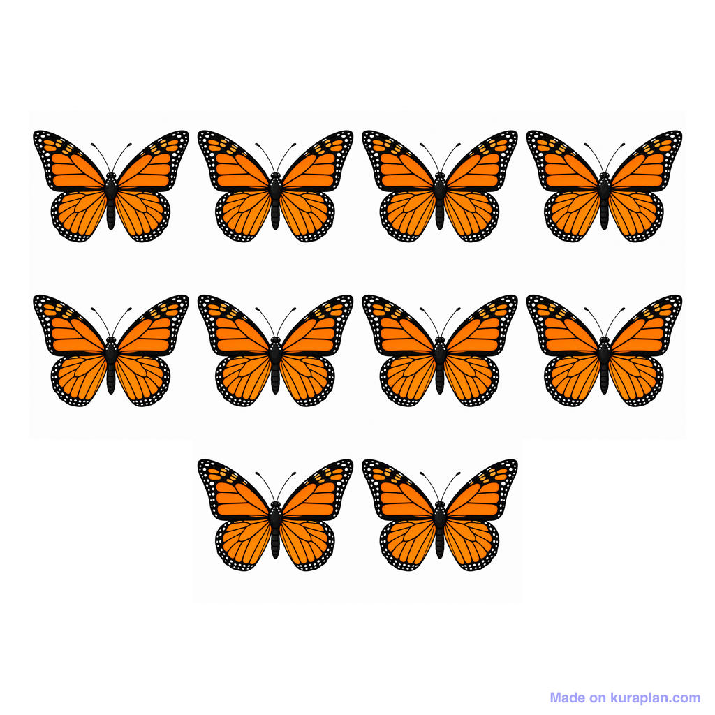 Collection — 10 butterflies