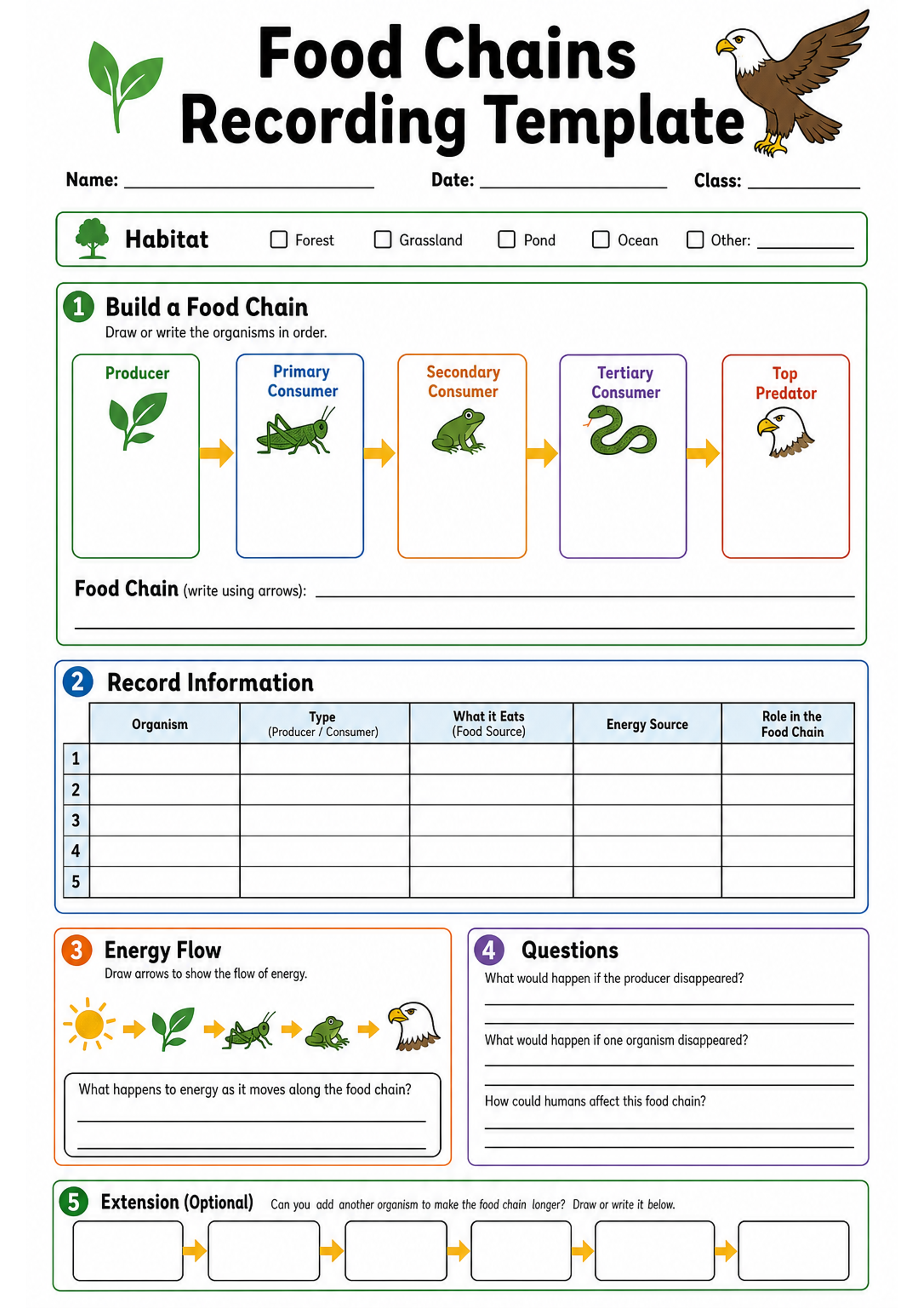 Food Chains Recording Template Printable