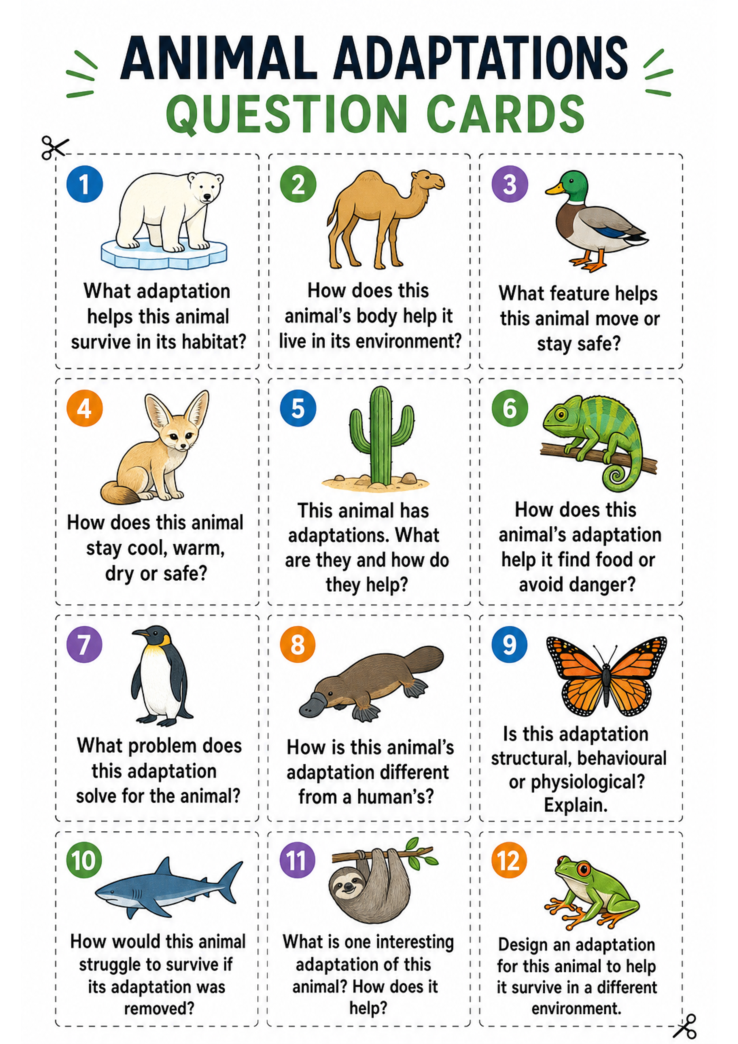 Animal Adaptations Question Cards Printable