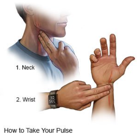 How to measure your Heart rate