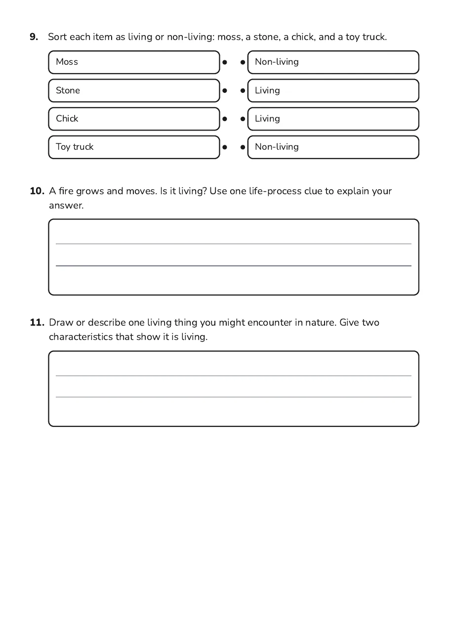 Living Things Characteristics Worksheet, page 3 of 3: 9. Sort each item as living or non-living: moss, a stone, a chick, and a toy truck.
