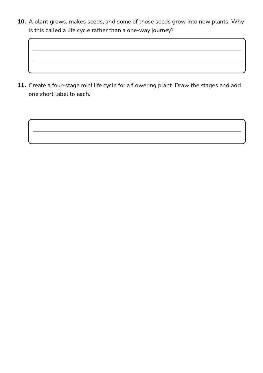 Plant Life Cycles, page 3 of 3: 10. A plant grows, makes seeds, and some of those seeds grow into new plants. Why