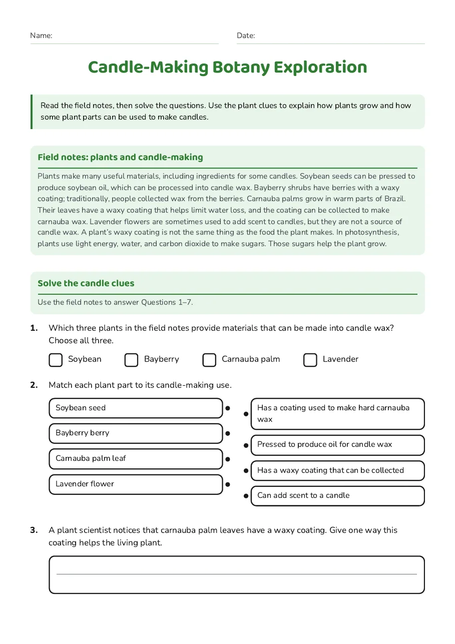 Candle-Making Botany Exploration, page 1 of 2: Field notes: plants and candle-making, Solve the candle clues