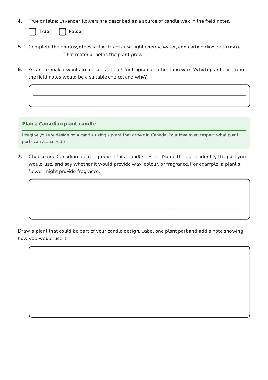 Candle-Making Botany Exploration, page 2 of 2: Plan a Canadian plant candle