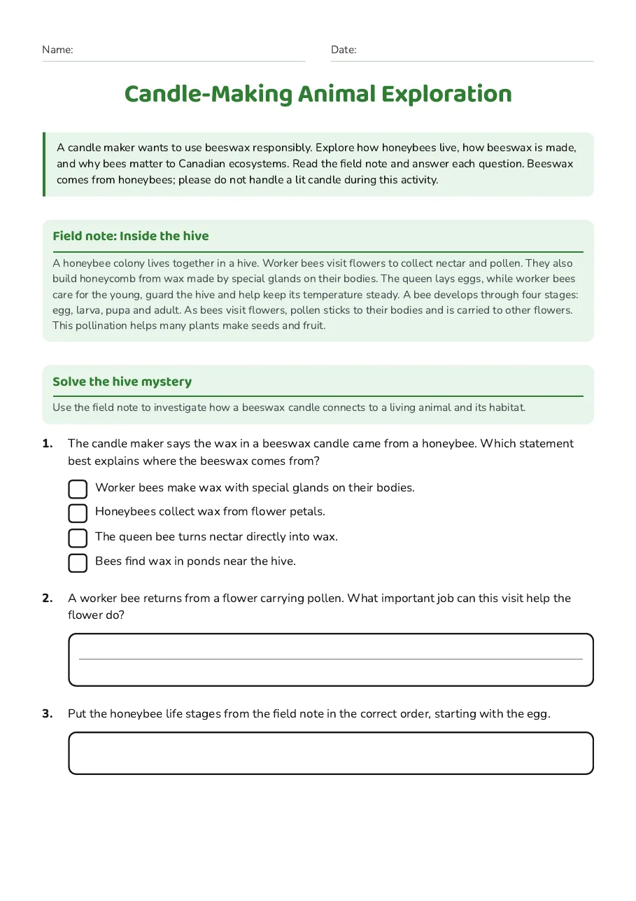 Candle-Making Animal Exploration, page 1 of 2: Field note: Inside the hive, Solve the hive mystery