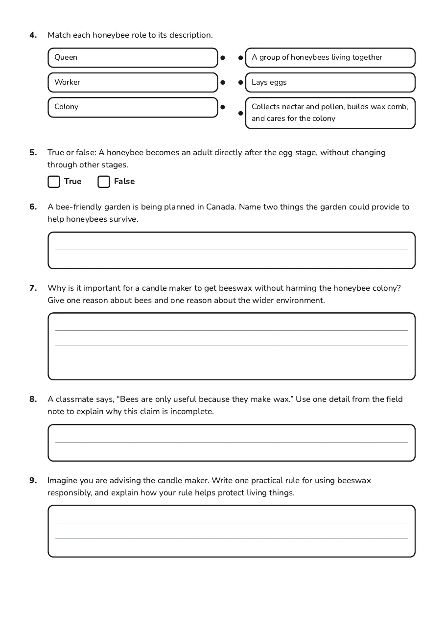 Candle-Making Animal Exploration, page 2 of 2: 4. Match each honeybee role to its description.