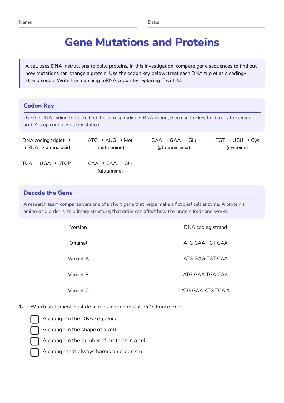 Gene Mutations and Proteins, page 1 of 3: Codon Key, Decode the Gene
