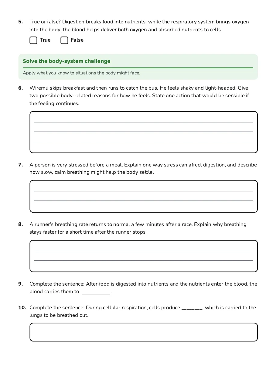 Advanced Body Systems Exploration, page 2 of 3: Solve the body-system challenge