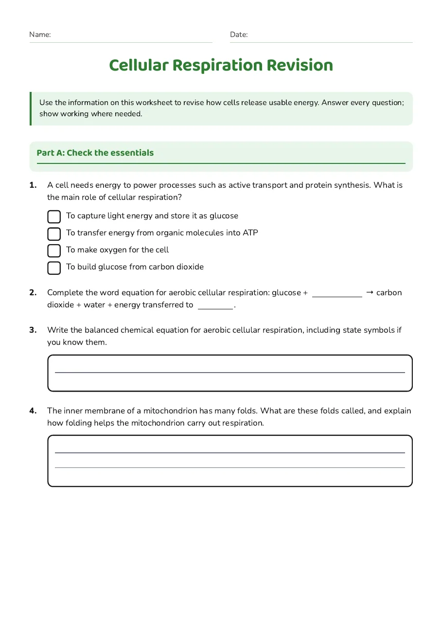 Cellular Respiration Revision, page 1 of 3: Part A: Check the essentials