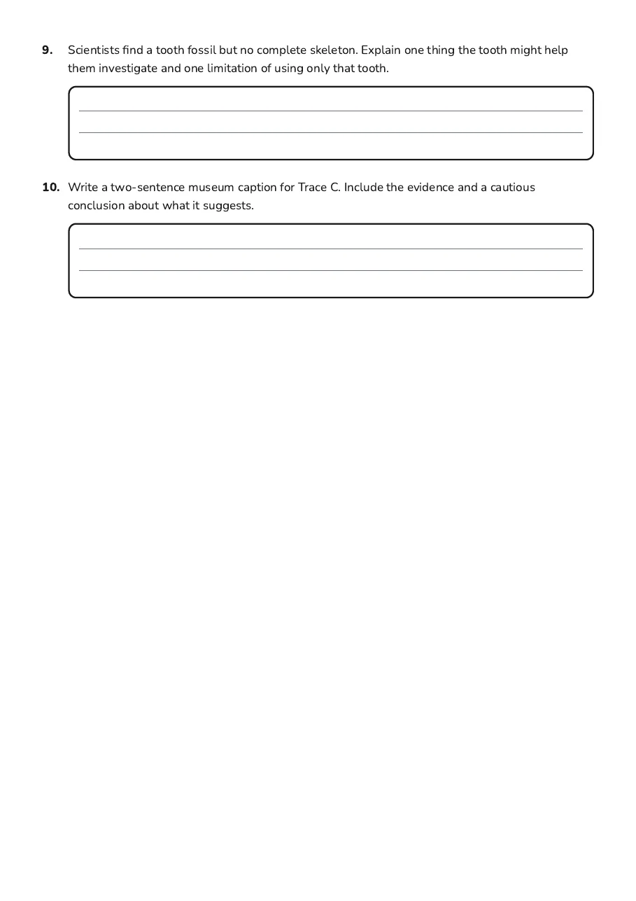 Dinosaur Discovery Worksheet, page 3 of 3: 9. Scientists find a tooth fossil but no complete skeleton. Explain one thing the tooth…