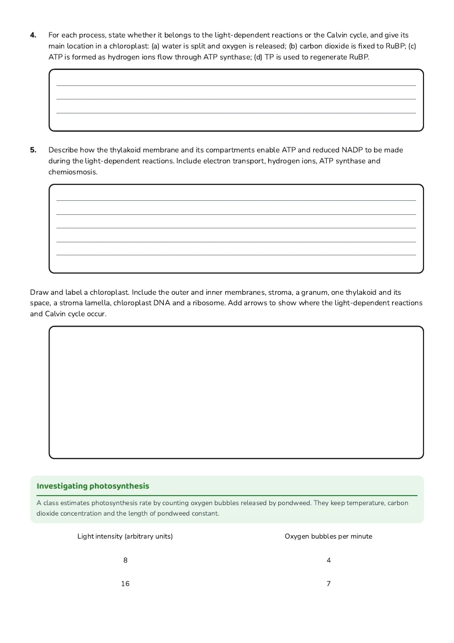 Photosynthesis and Chloroplasts, page 2 of 4: Investigating photosynthesis
