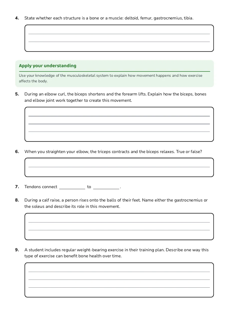 Bones and Muscles Labeling, page 2 of 3: Apply your understanding