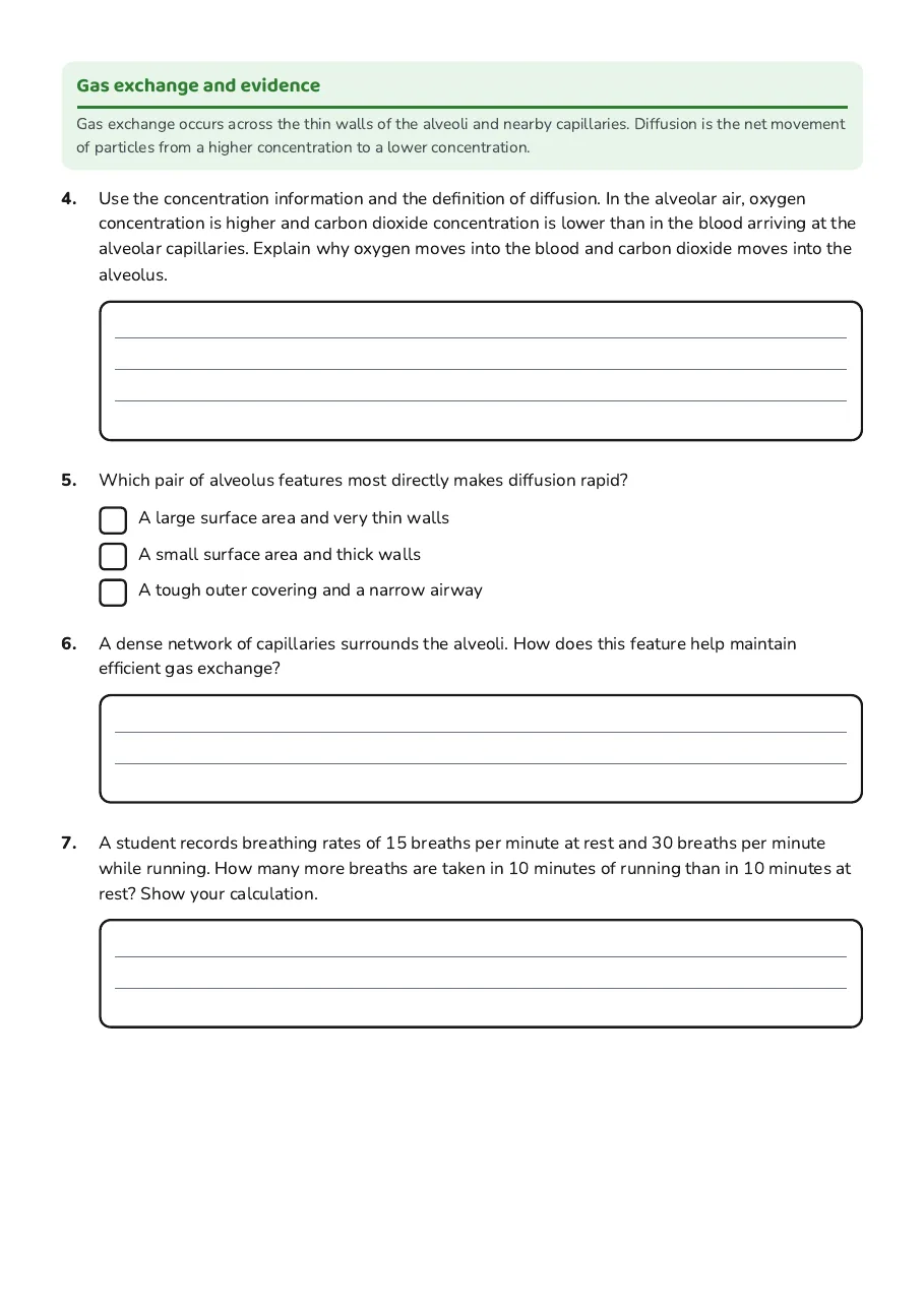 Human Respiratory System Worksheet, page 2 of 3: Gas exchange and evidence