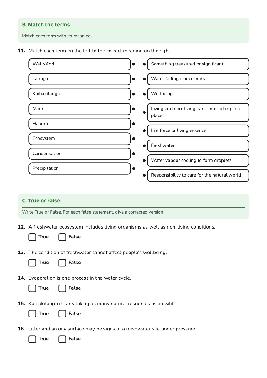 Wai Māori: A Taonga, page 4 of 6: B. Match the terms, C. True or false