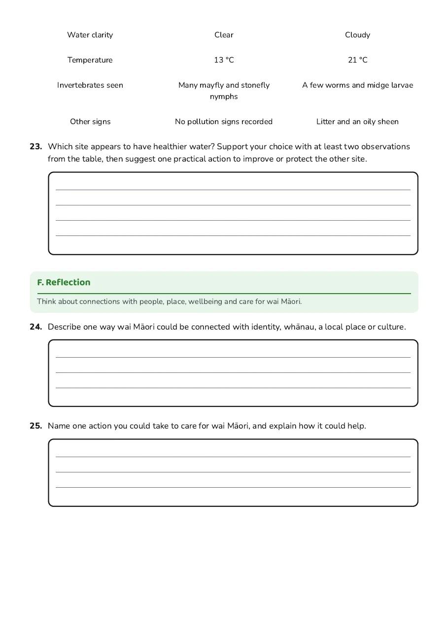 Wai Māori: A Taonga, page 6 of 6: F. Reflection