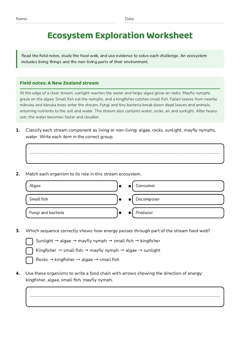 Ecosystem Exploration Worksheet, page 1 of 2: Field notes: A New Zealand stream