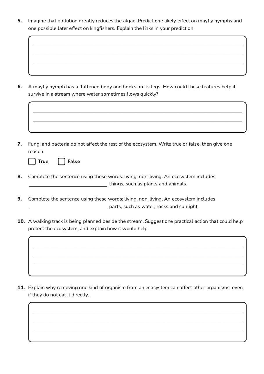 Ecosystem Exploration Worksheet, page 2 of 2: 5. Imagine that pollution greatly reduces the algae. Predict one likely effect on mayfly…