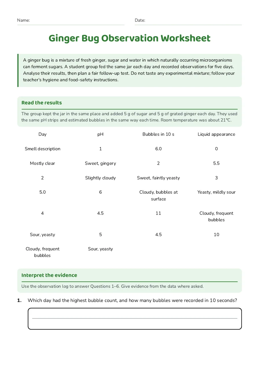 Ginger Bug Observation Worksheet, page 1 of 3: Read the results, Interpret the evidence