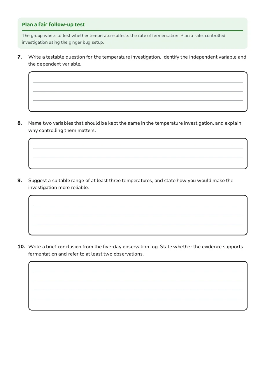Ginger Bug Observation Worksheet, page 3 of 3: Plan a fair follow-up test