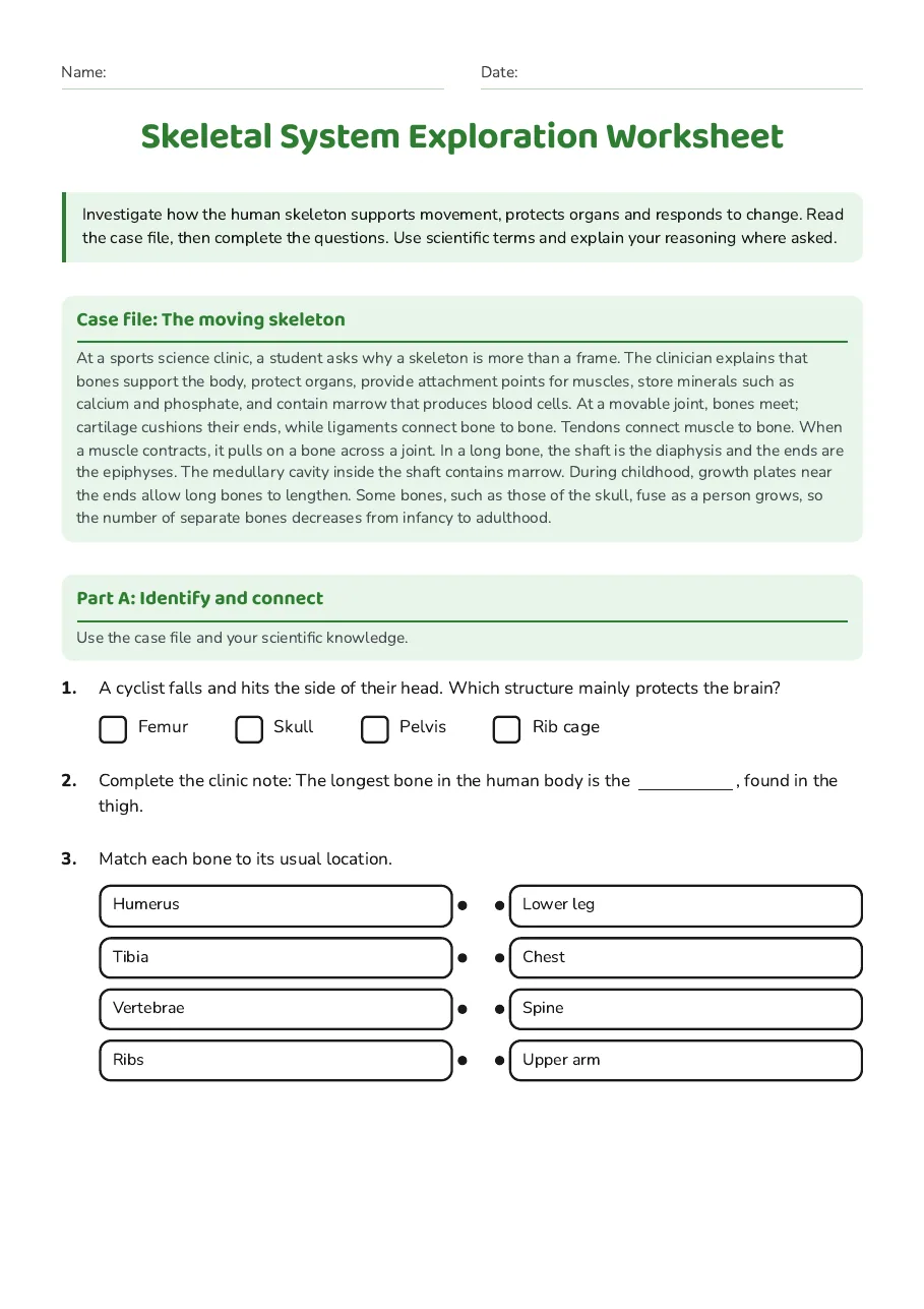 Skeletal System Exploration Worksheet, page 1 of 3: Case file: The moving skeleton, Part A: Identify and connect