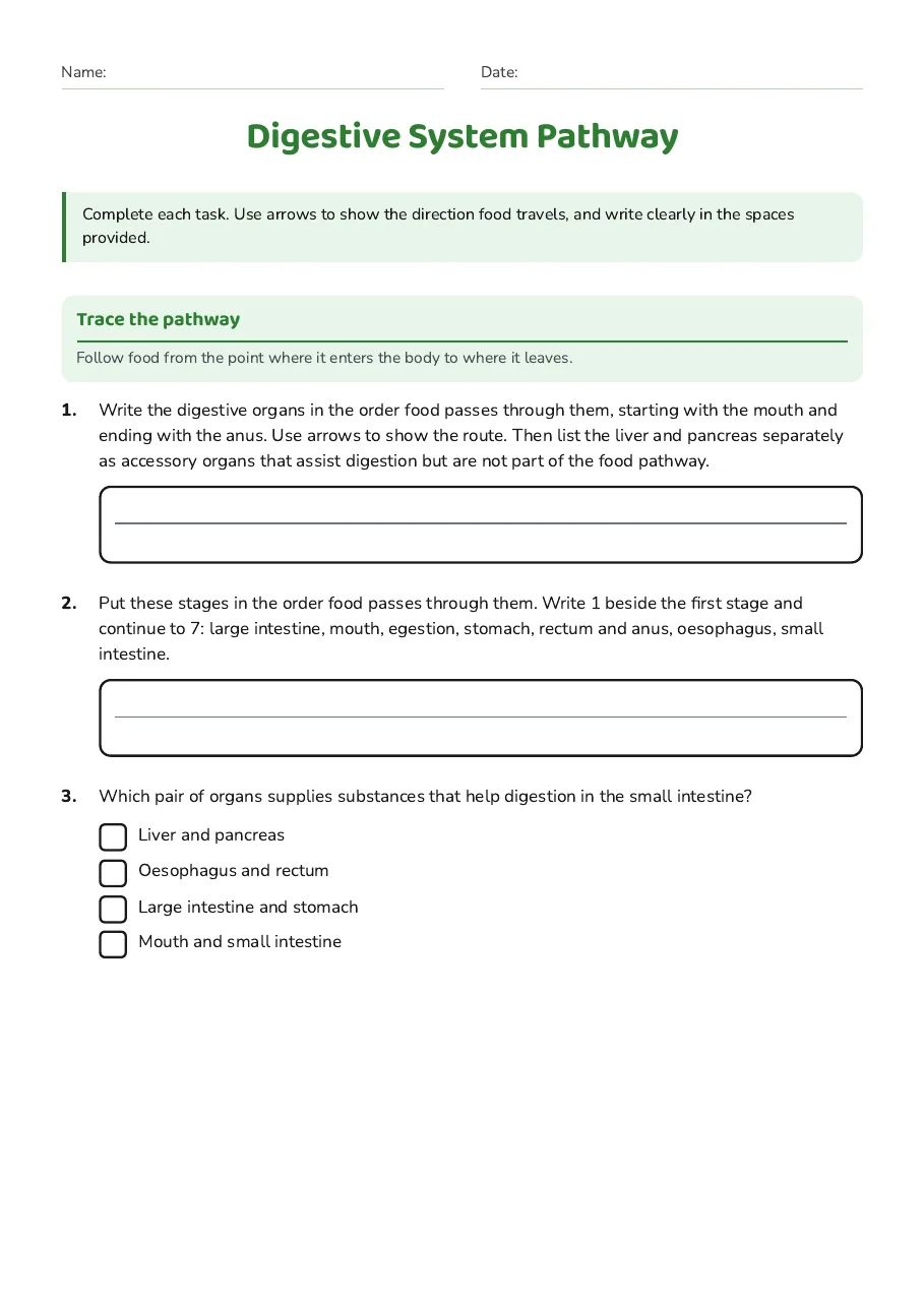 Digestive System Pathway, page 1 of 3: Trace the pathway