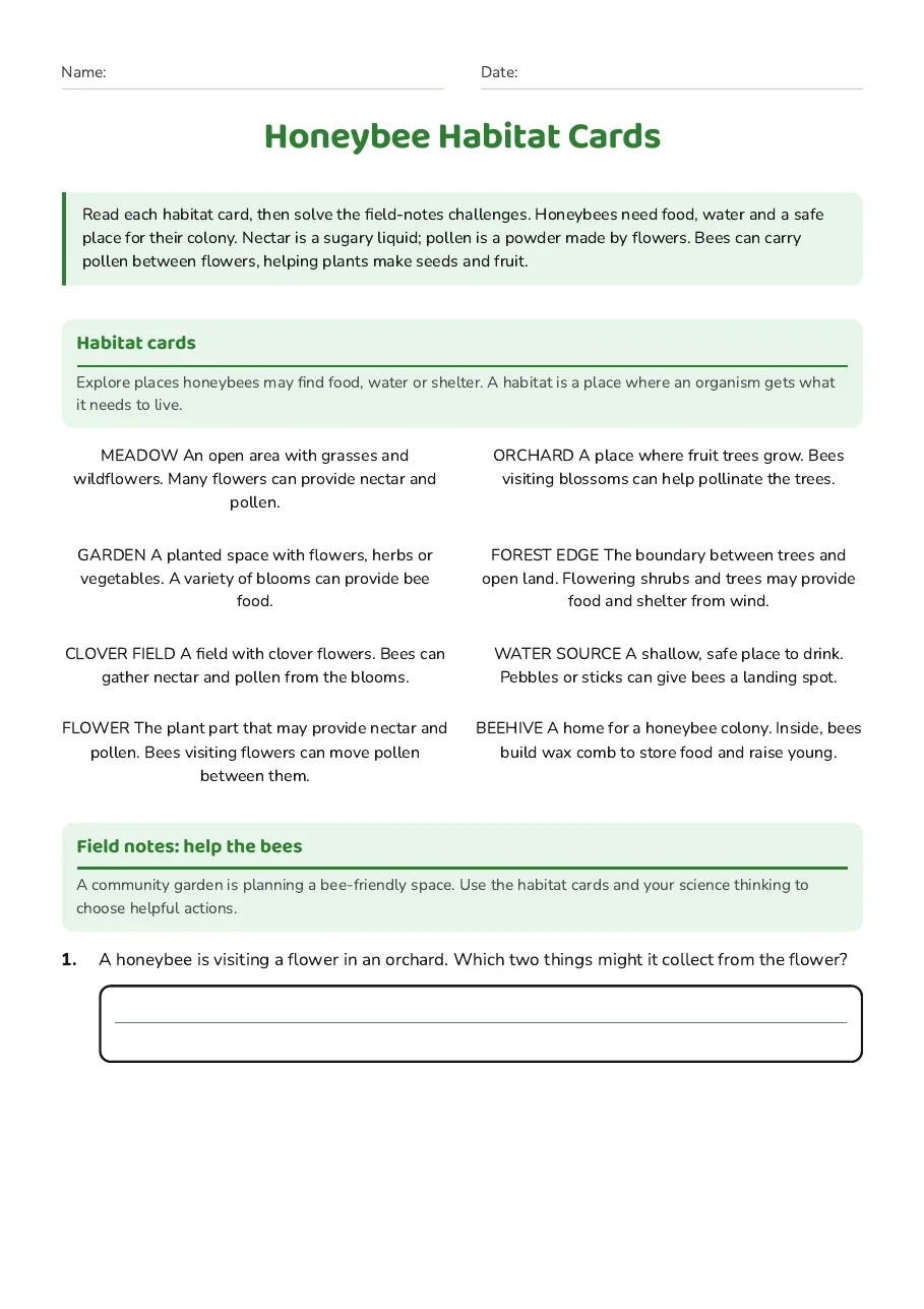 Honeybee Habitat Cards, page 1 of 3: Habitat cards, Field notes: help the bees