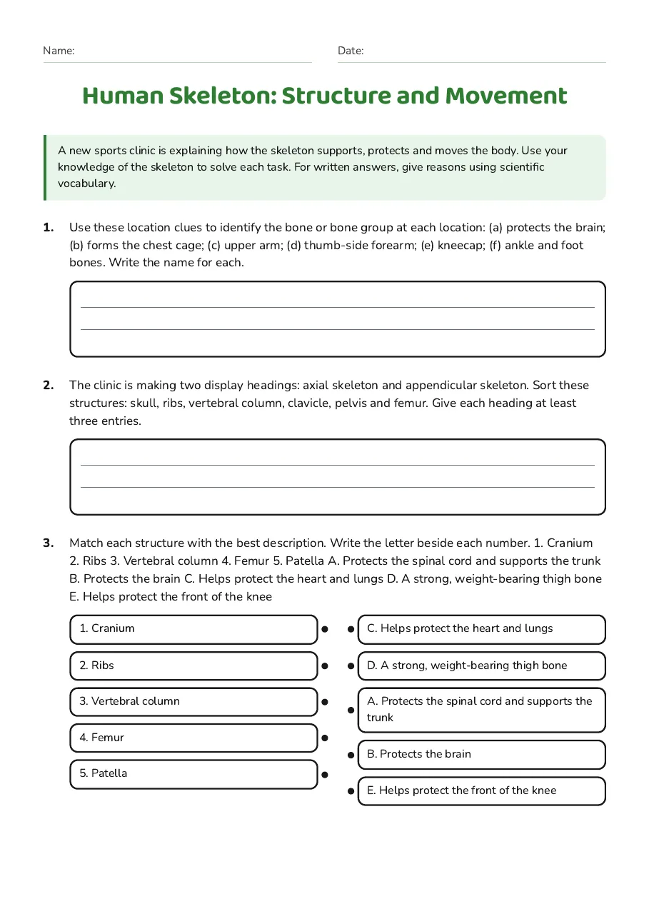 Human Skeleton: Structure and Movement, page 1 of 3: A new sports clinic is explaining how the skeleton supports, protects and moves the body.…