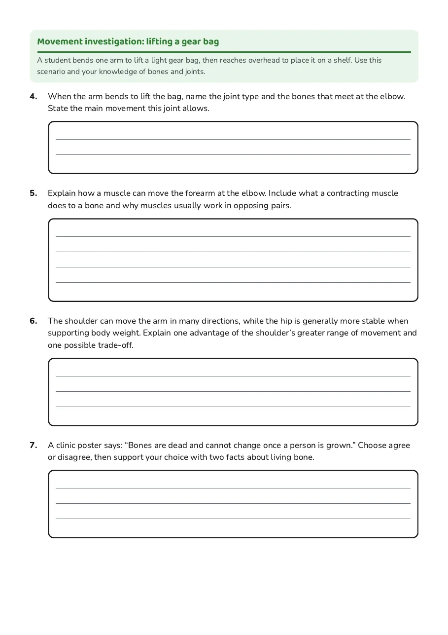 Human Skeleton: Structure and Movement, page 2 of 3: Movement investigation: lifting a gear bag