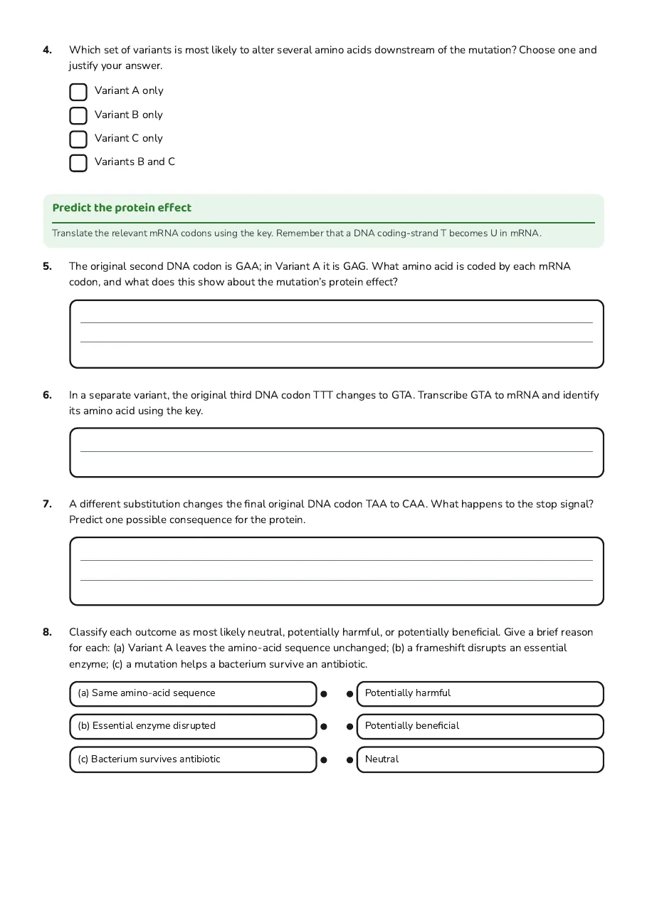 DNA Mutations and Effects, page 2 of 3: Predict the protein effect