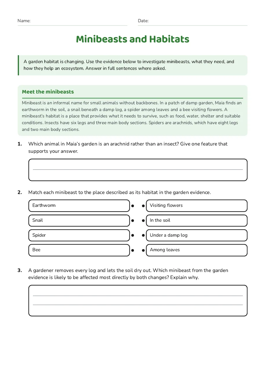 Minibeasts and Habitats, page 1 of 3: Meet the minibeasts
