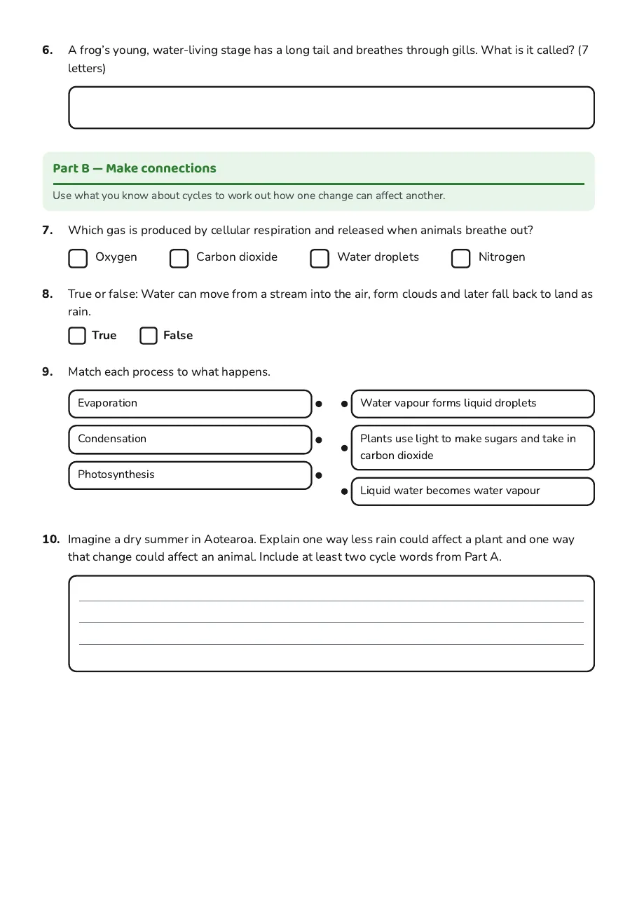 Environmental Cycles Crossword, page 2 of 3: Part B — Make connections