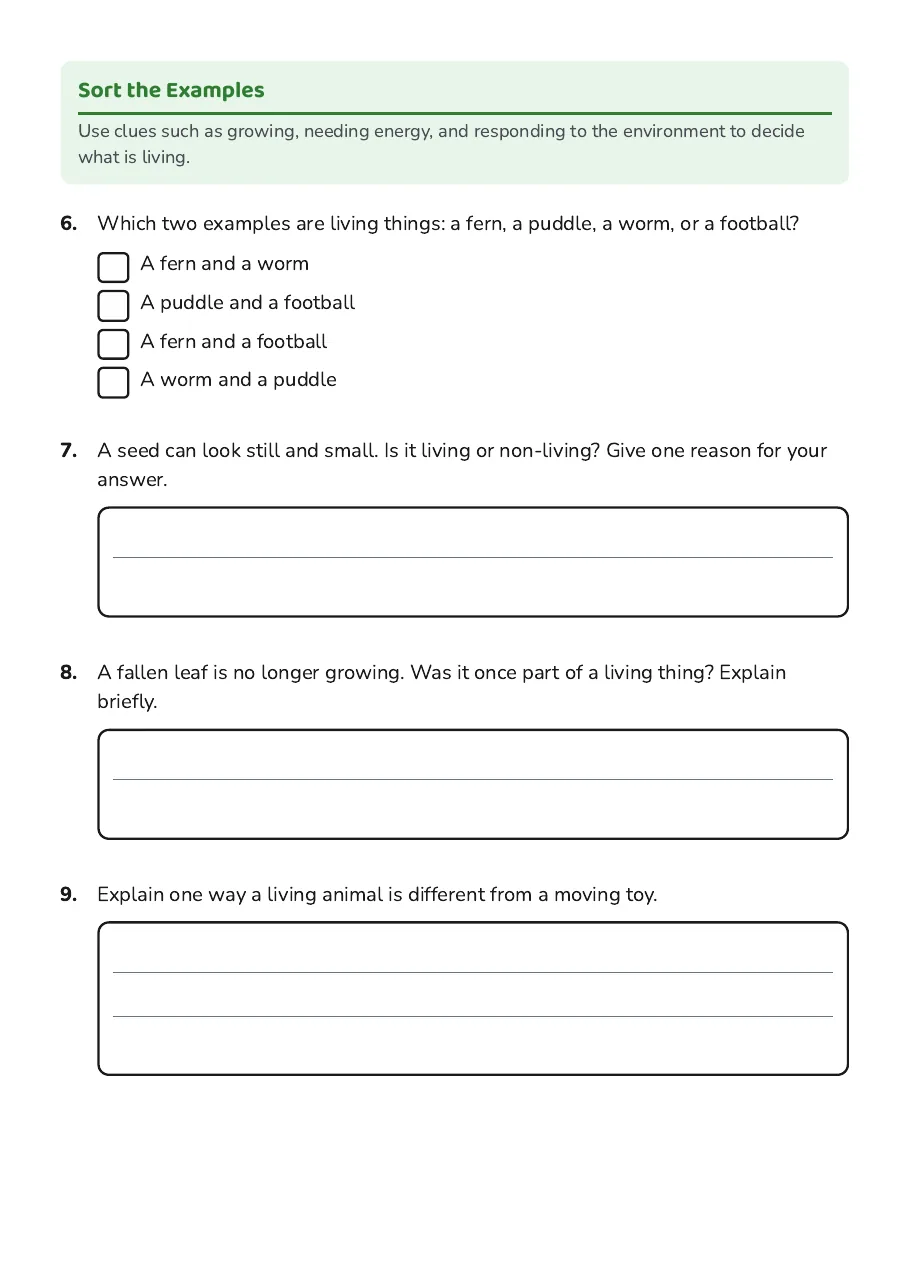Living Things True/False worksheet continuation with matching, written explanations, life-process drawing and a final summary sentence.