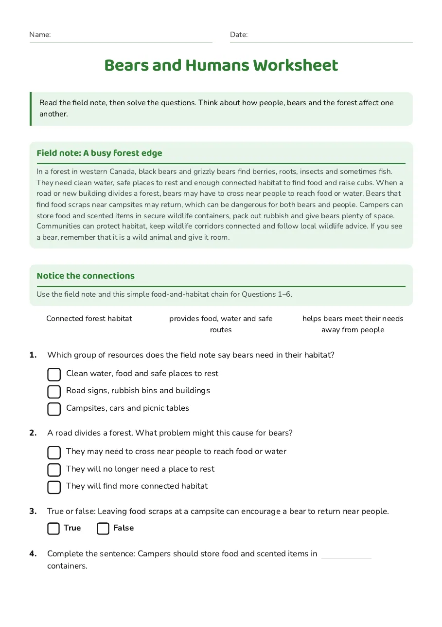 Bears and Humans Worksheet, page 1 of 3: Field note: A busy forest edge, Notice the connections