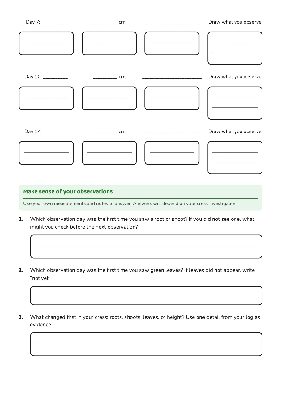 Cress Growth Observation Log, page 2 of 3: Make sense of your observations