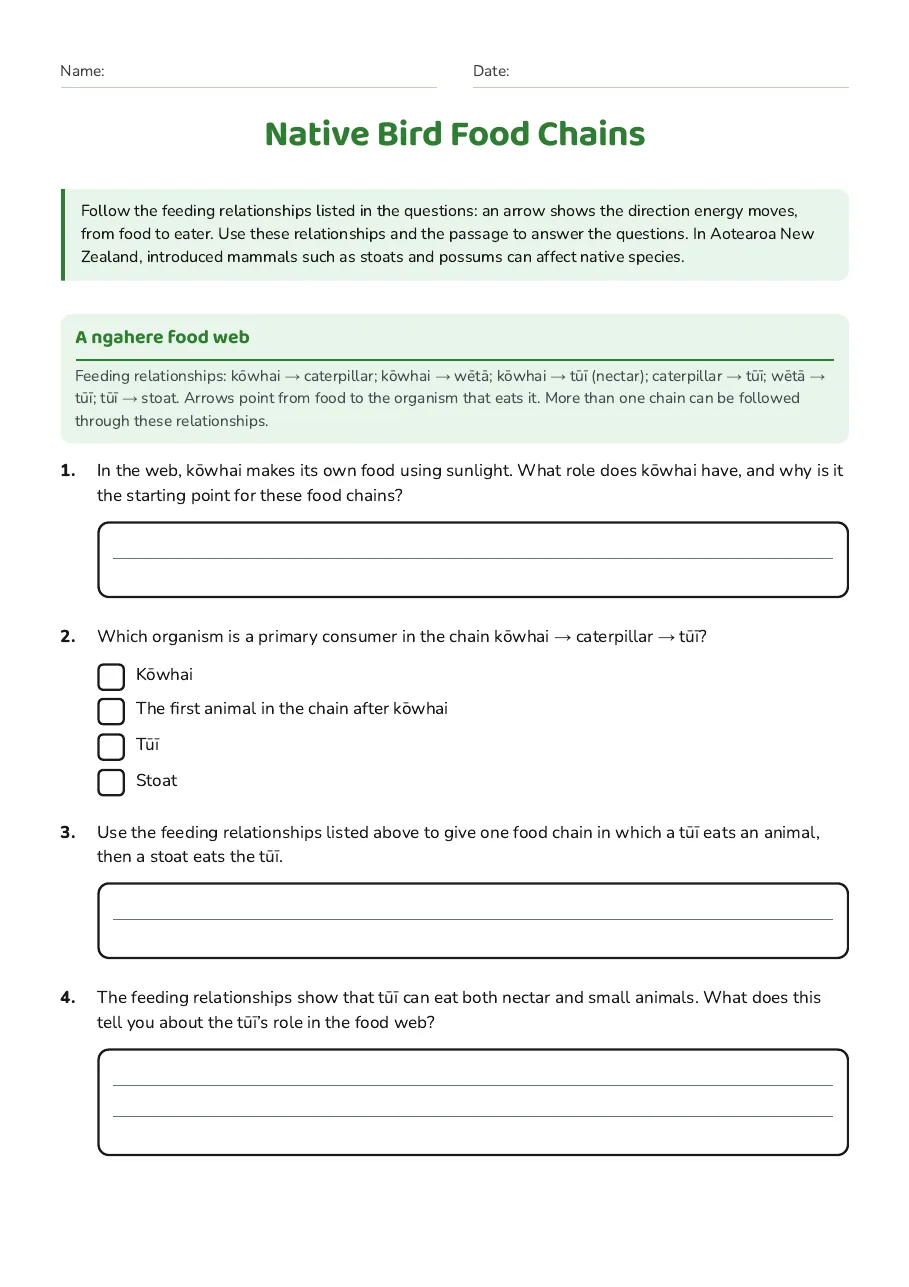 Native Bird Food Chains, page 1 of 3: A ngahere food web