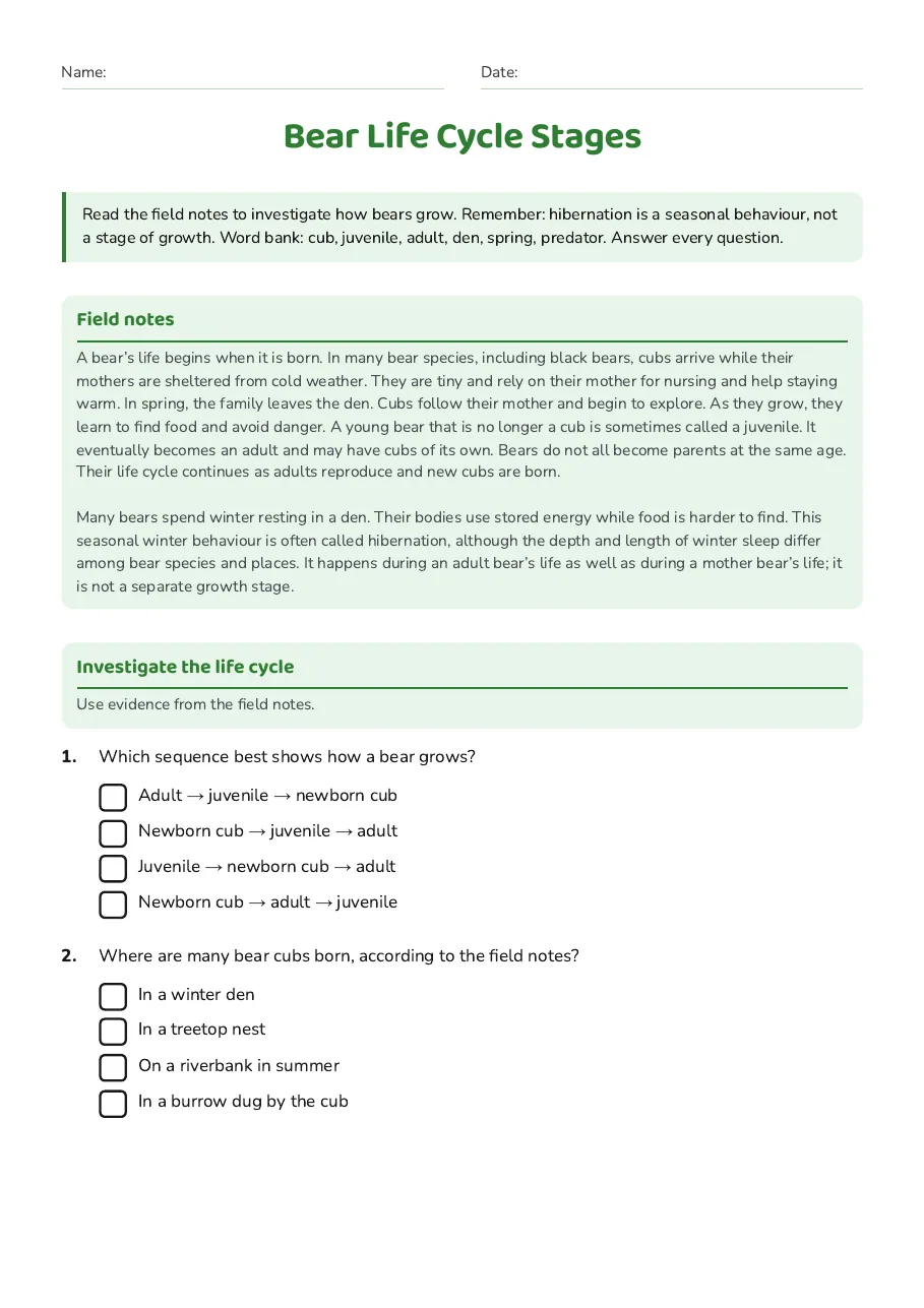 Bear Life Cycle Stages, page 1 of 2: Field notes, Investigate the life cycle
