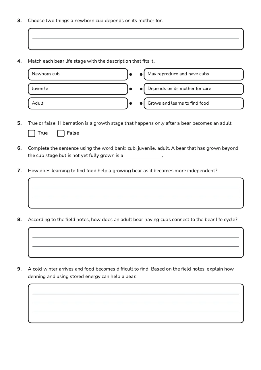 Bear Life Cycle Stages, page 2 of 2: 3. Choose two things a newborn cub depends on its mother for.