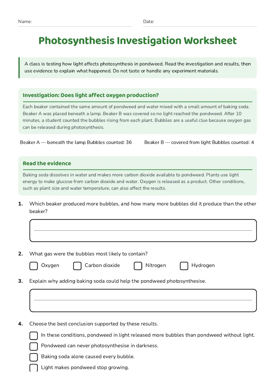 Photosynthesis Investigation Worksheet, page 1 of 2: Investigation: Does light affect oxygen production?, Read the evidence