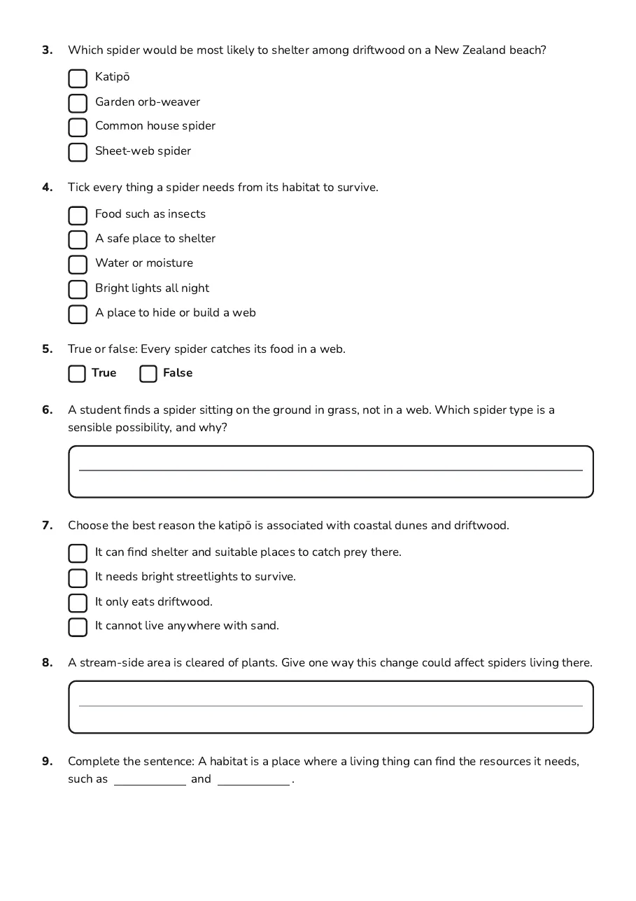Spider Habitat Matching Game, page 2 of 3: 3. Which spider would be most likely to shelter among driftwood on a New Zealand beach?