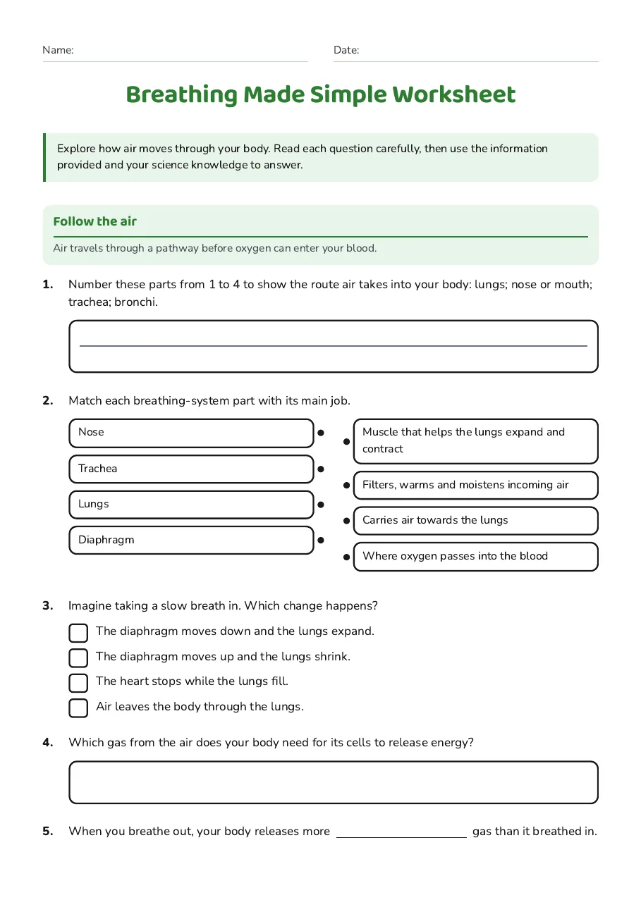 Breathing Made Simple Worksheet, page 1 of 2: Follow the air