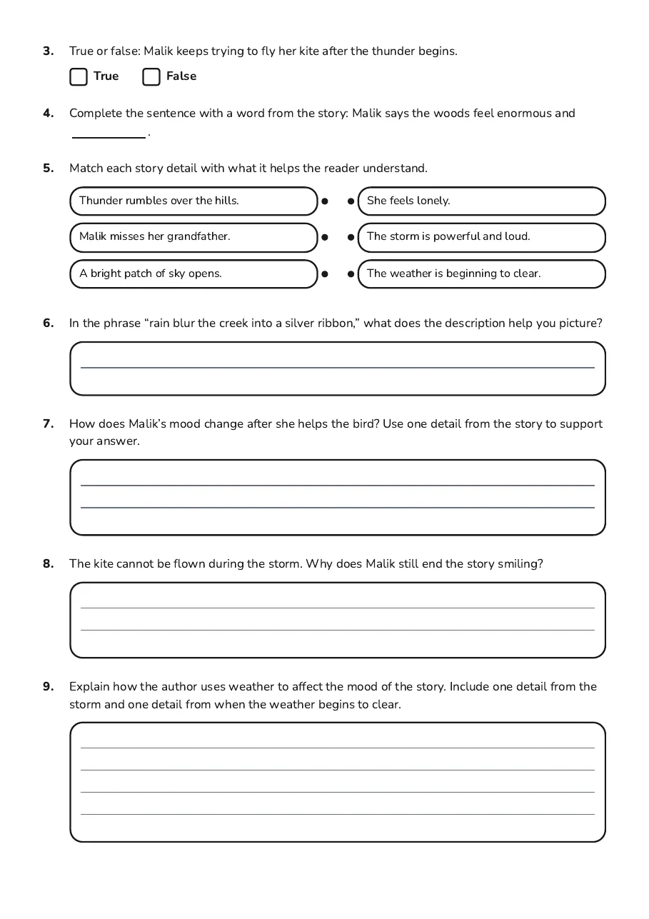 Weather in Literature, page 2 of 3: 3. True or false: Malik keeps trying to fly her kite after the thunder begins.