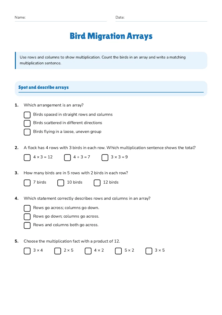 Bird Migration Arrays, page 1 of 3: Spot and describe arrays